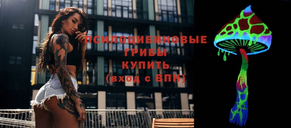 дживик Беломорск