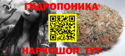 стафф Ливны