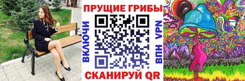 Псилоцибиновые грибы мицелий  как найти закладки  Гай 