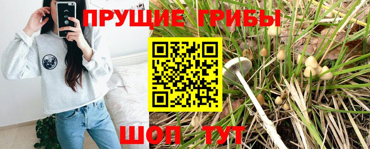 Галлюциногенные грибы Cubensis  Вход с VPN  Псилоцибиновые грибы мухоморы  закладка  Гай 