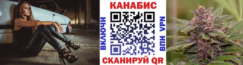 Шишки марихуана Amnesia  Гай 